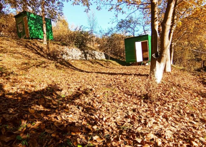Three poplars by VL Camping
