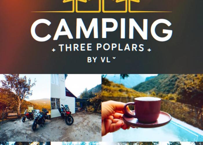 Three poplars by VL Camping