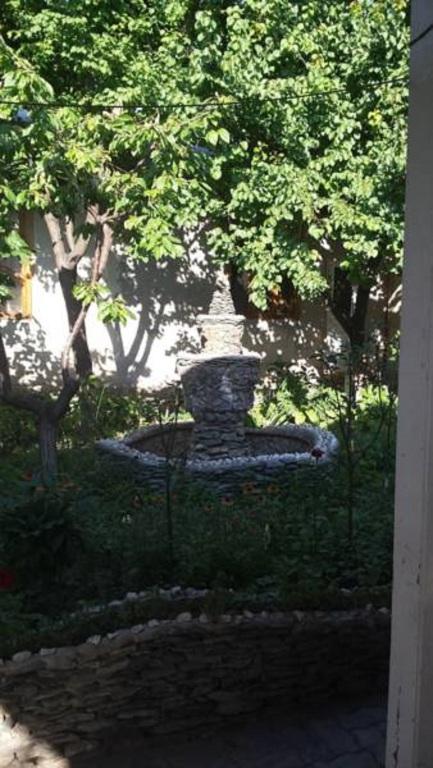 Lovely home for you Guest Home