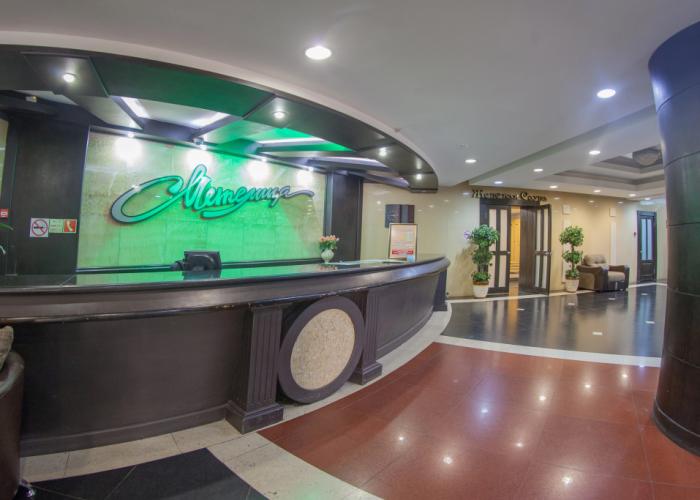 Metelitsa Hotel