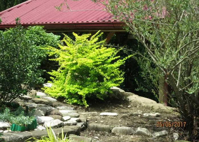 Nesta RF Guest House