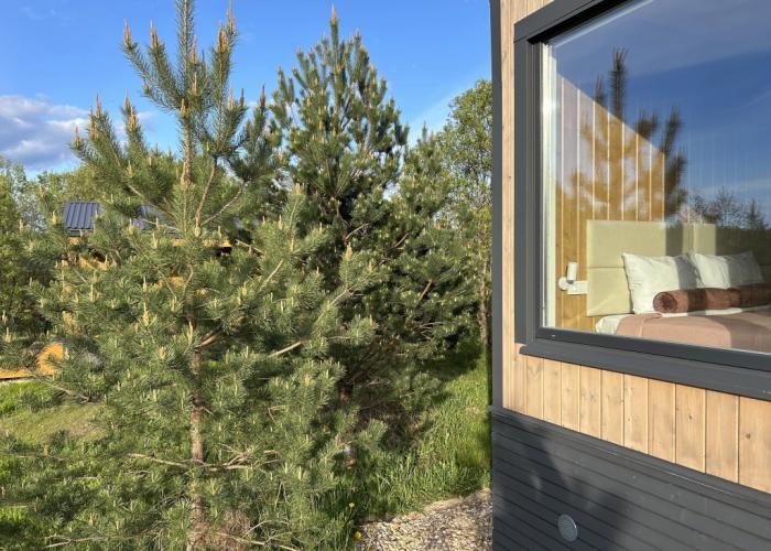 Iskona Dacha Guest House
