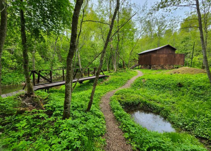Zhivopisniy ostrov Camping