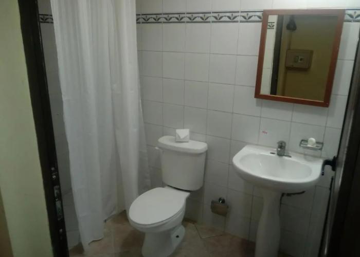 Hotel Tulipan