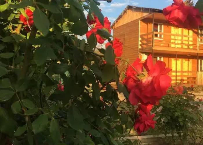Siyanie Solntsa Mini-Hotel