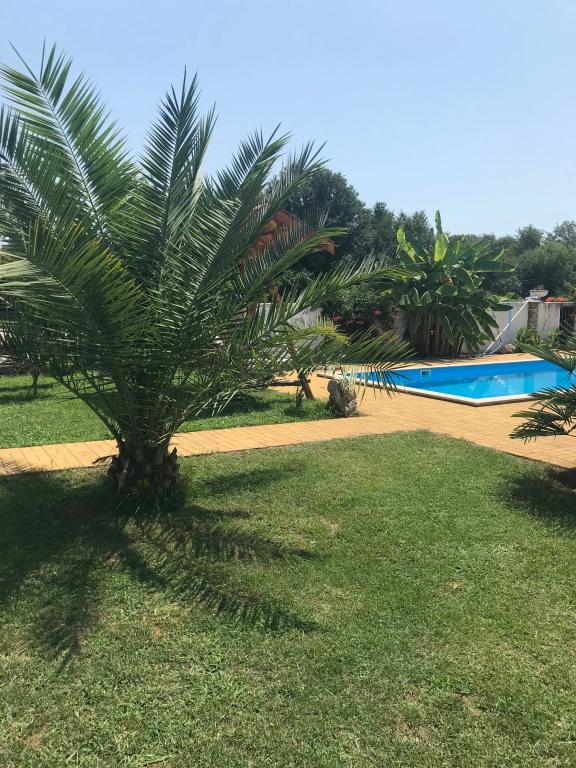 фото Apsua Villa