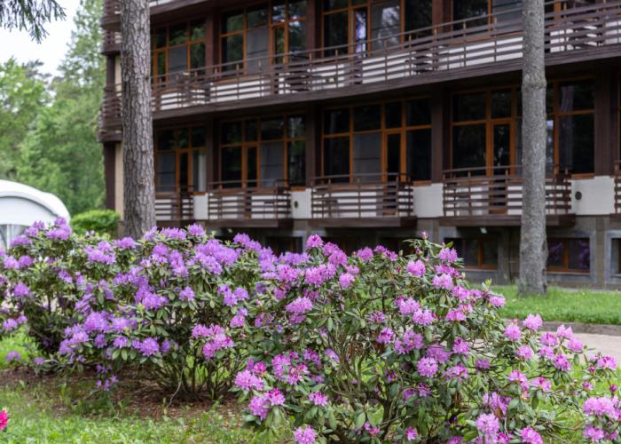 Azimut Park Hotel& SPA Repino