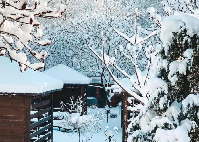 Volkov Family Guest House
