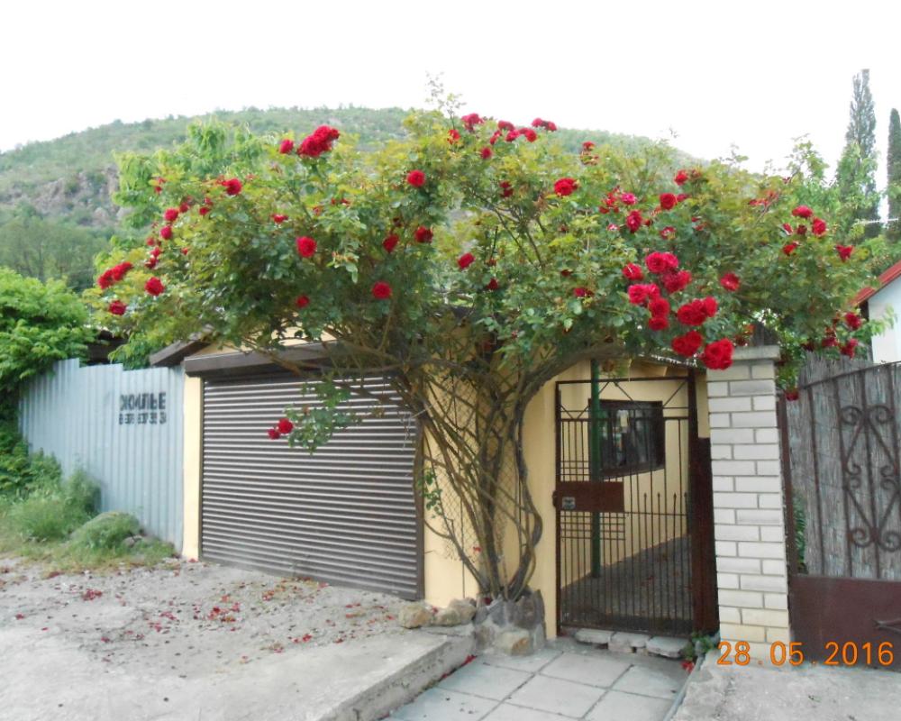 Lazurnoye Private house