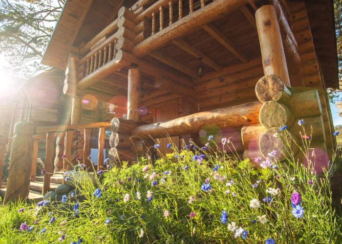 Ostrovok Guest House
