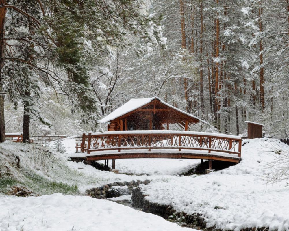 Derevnya Berendeevka Hotel