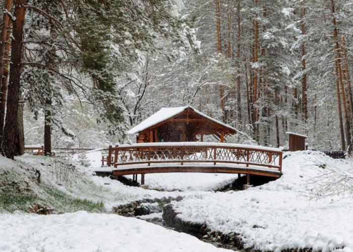 Derevnya Berendeevka Hotel