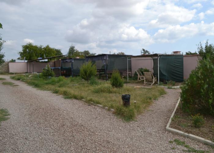Musson Guest house