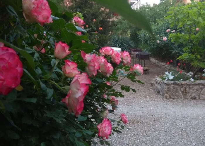 Sonata Guest House