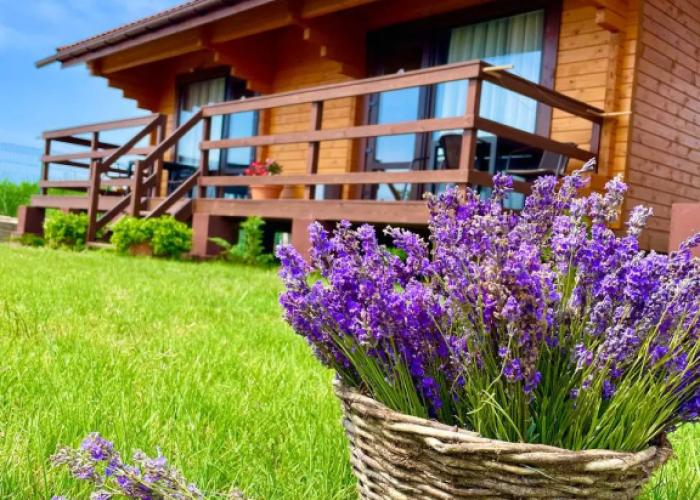 Guesthouse Kaktus