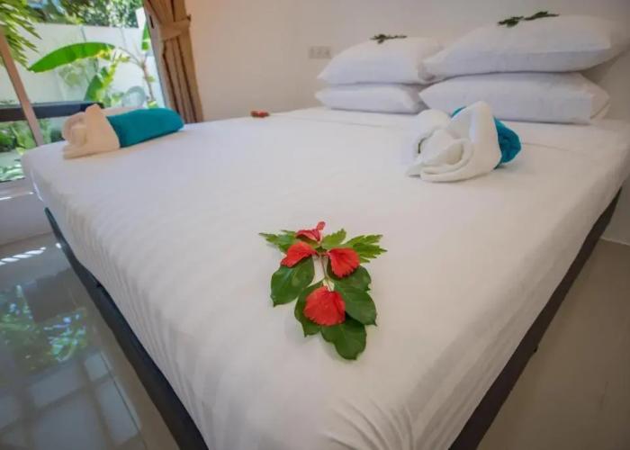 Lagoon Thoddoo Villa