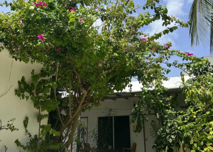 Lagoon Thoddoo Villa
