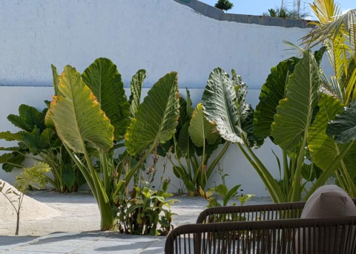 Bed&Breakfast Avi Guesthouse