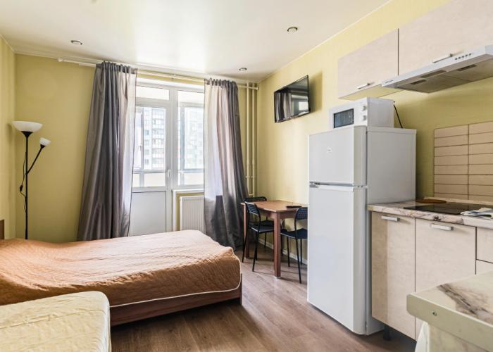 Ryadom S Metro Devyatkino Apartments