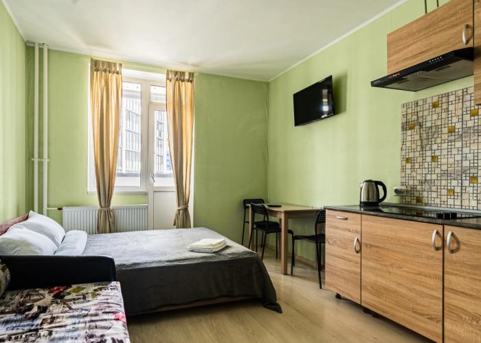 Ryadom S Metro Devyatkino Apartments