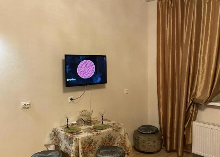 Apartment Studiya Na 3ikh Chelovek U Metro Devyatkino