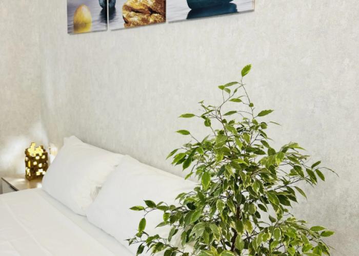 Apartamenty Pavlovsk36 Flat