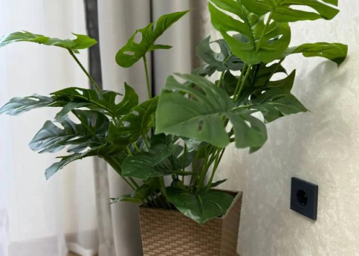 Apartamenty Glazov Sibirskaya 6 Flat