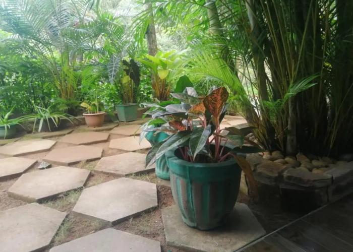 Ella Flower Garden Resort