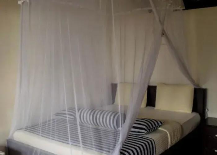 Blue Ribbon Homestay