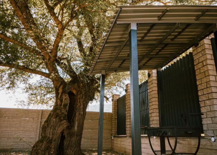 Maus V Gorakh S Chanom I Banei Na Drovah Guest House