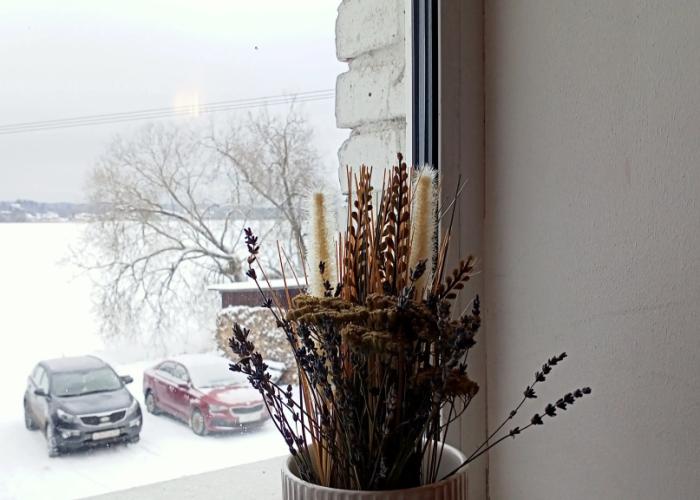 Apartments Dialog Na Proletarskoy 37 Guest House