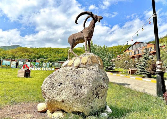 Deluxe Park Qusar Resort & Spa Hotel