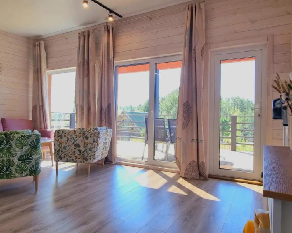 Christmas Trees Around