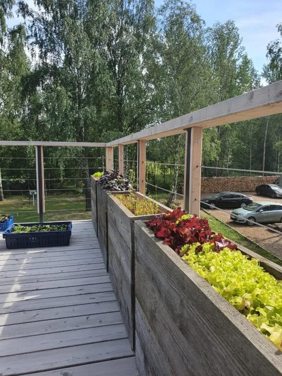 фото Guest Complex Dubki