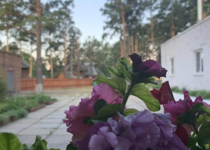 Podsnezhnik Mini-Hotel