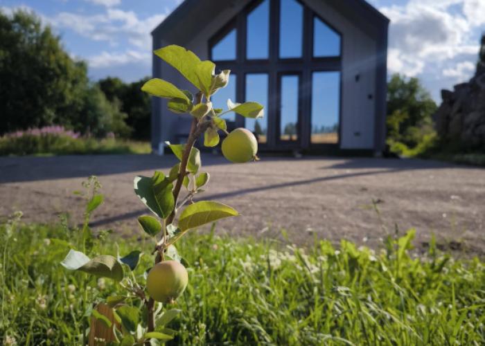 Chyorny Domik U Ozera Otradnoye Private House