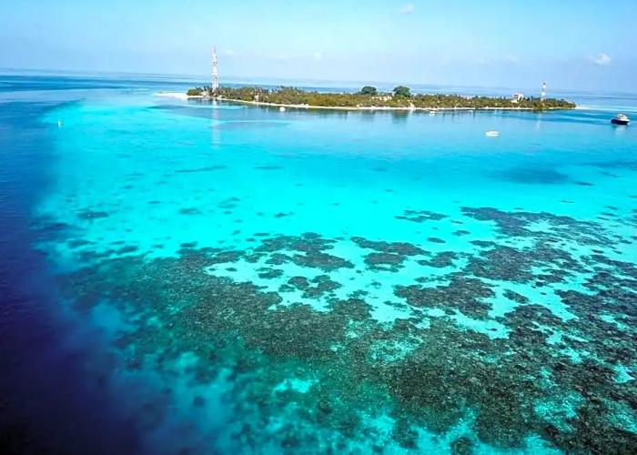 Daisy Cottage Dhangethi