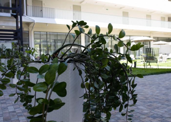 Hotel Portoritsa