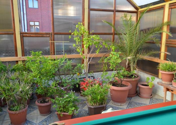 Medniy Vsadnyk Guest house