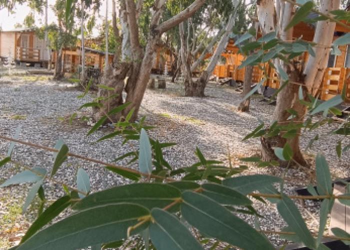 Baza Otdykha Nart Hotel