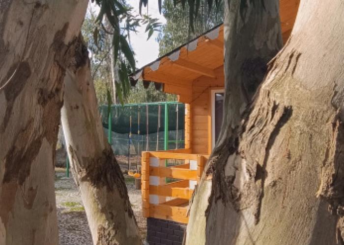 Baza Otdykha Nart Hotel