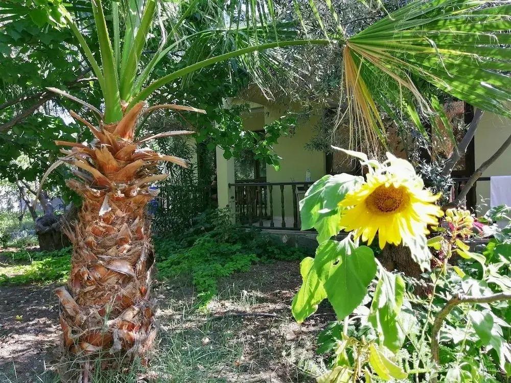 фото Assos Büyük Yıldızsaray Otel