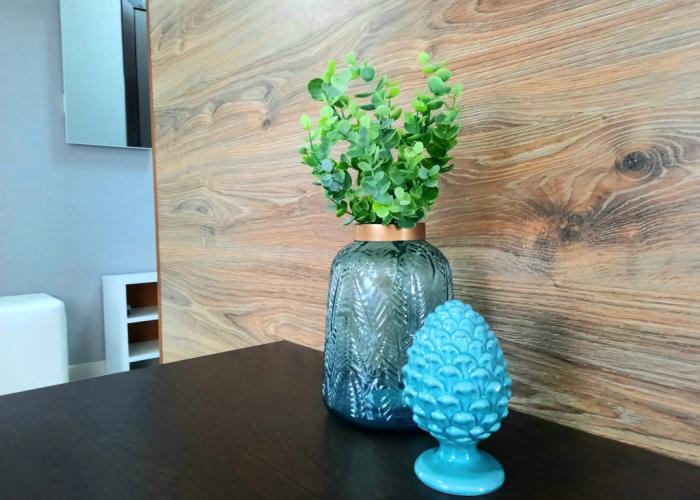 Studiya Beskontaktnoe zaselenie Mkr. Vokzal Odeyalkin Flat