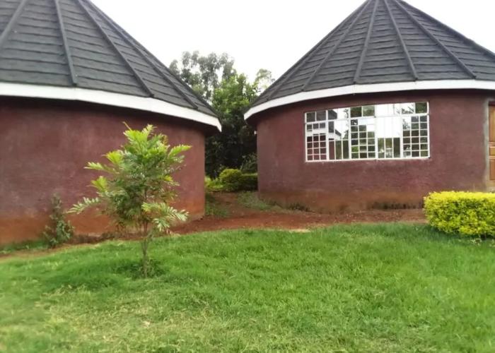 Mseven Gardens M7