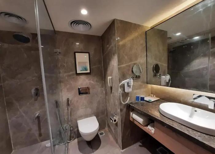 Grand Sarovar Portico