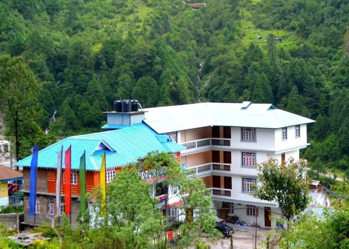 Delight Royal Lachung