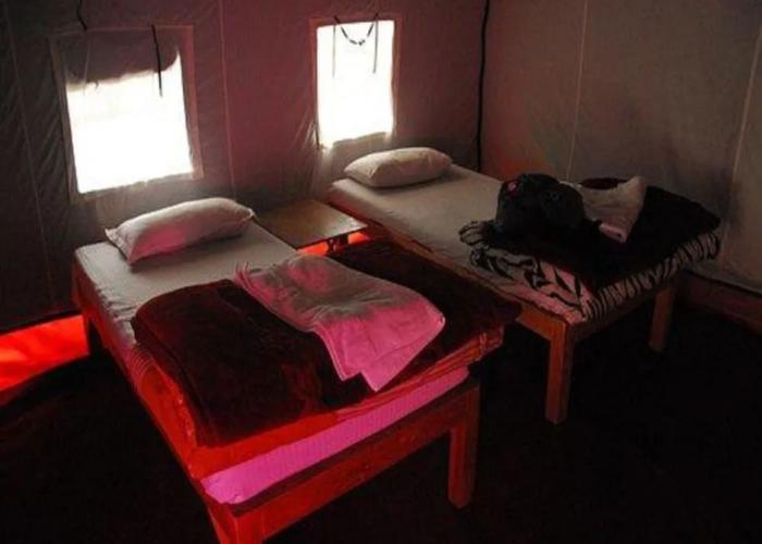 Golden Mark Camp