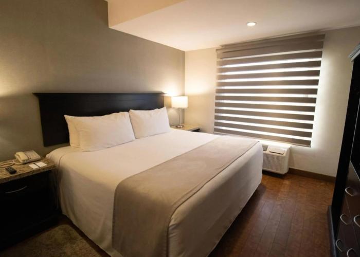 Araiza Hermosillo