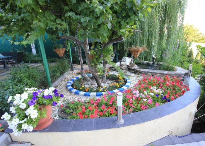 Guest House Lastochkino Gnezdo