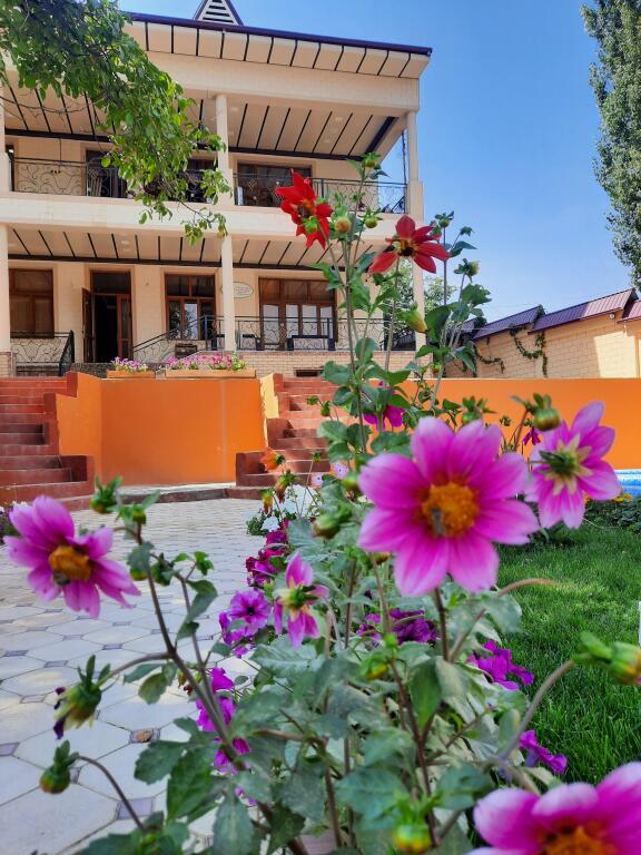 Apachi V Gorakh Chimgana Recreation Camp